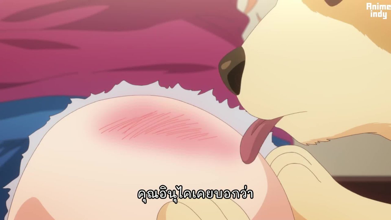 Inu Ni Nattara Suki Na Hito Ni Hirowareta เกิดใหม่เป็นหมาของสาวที่แอบชอบ  ตอนที่ 3 ซับไทย - ANIMEiNDY